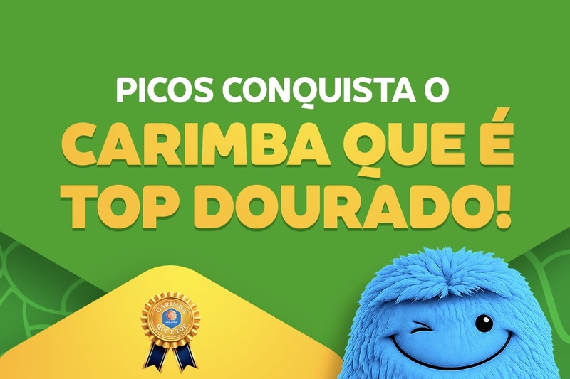 Picos conquista reconhecimento no Selo UNICEF e recebe “Carimba que é Top Dourado”